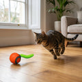 USB-C Rechargeable Self-Moving Cat Toy Ball With Motion Sensor And Paw Activation | Temsk