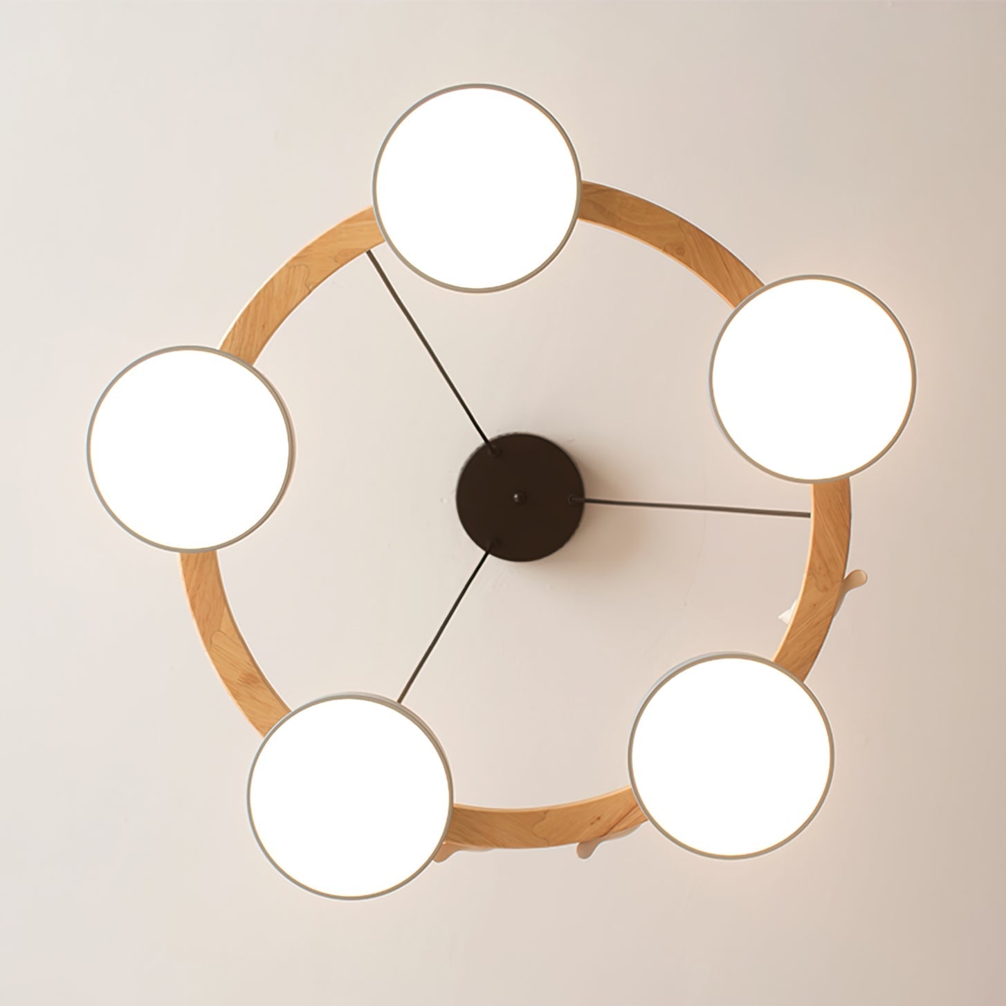 Sienna Vogelrunder Kronleuchter mit naturinspiriertem LED-Licht | Temsk