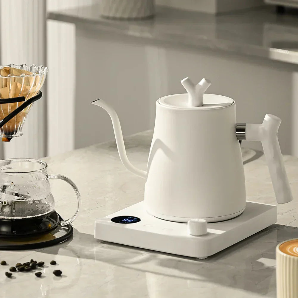 Gooseneck Electric Kettle With Temperature Control | Temsk