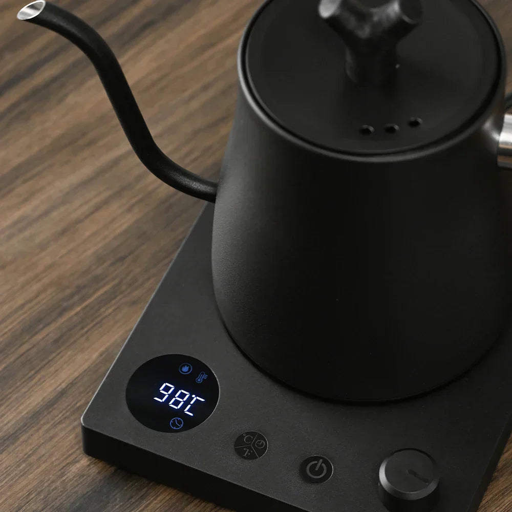 Gooseneck Electric Kettle With Temperature Control | Temsk