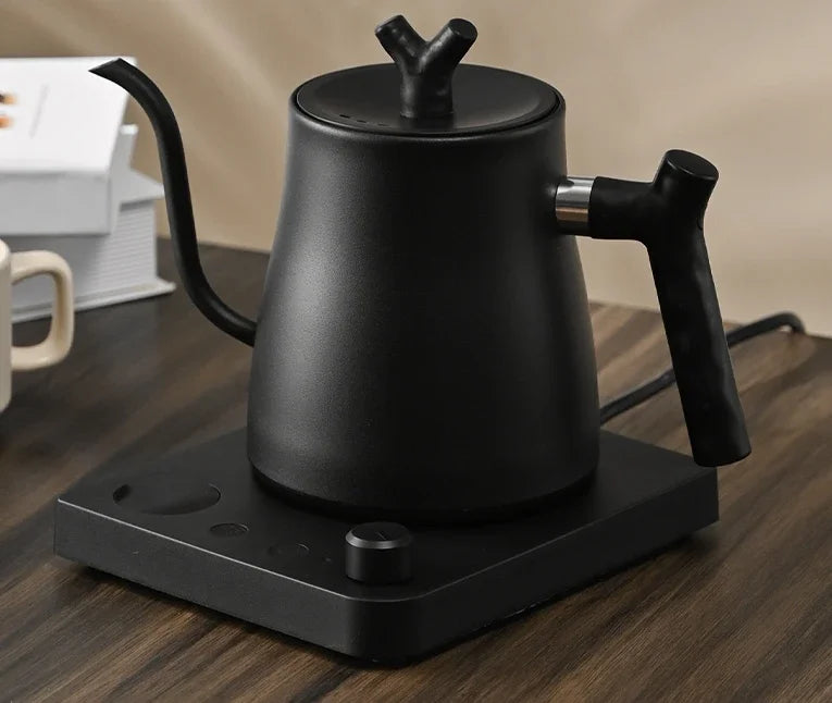 Gooseneck Electric Kettle With Temperature Control | Temsk