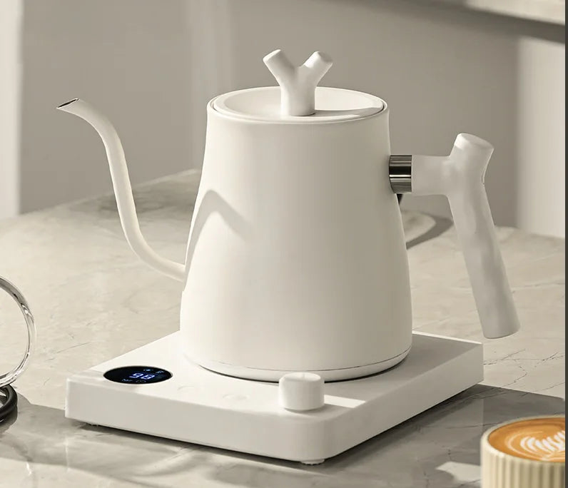 Gooseneck Electric Kettle With Temperature Control | Temsk