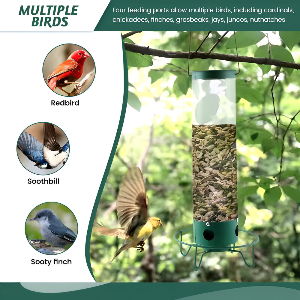 Metal Squirrel Resistant Tube Bird Feeder For Outdoor Backyard Use | Temsk