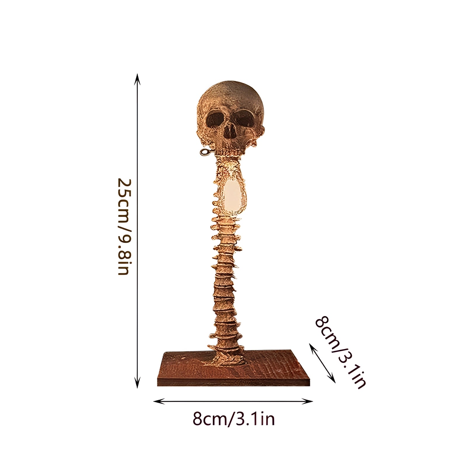 Nightshade Spine And Skull Lamp For Spooky Home Decor | Temsk