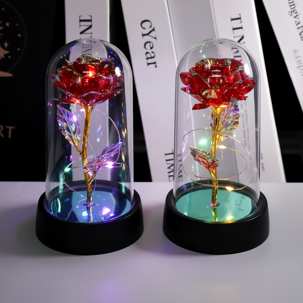 Rose Lamp LED Ambient Night Light With Clear Dome Display | Temsk