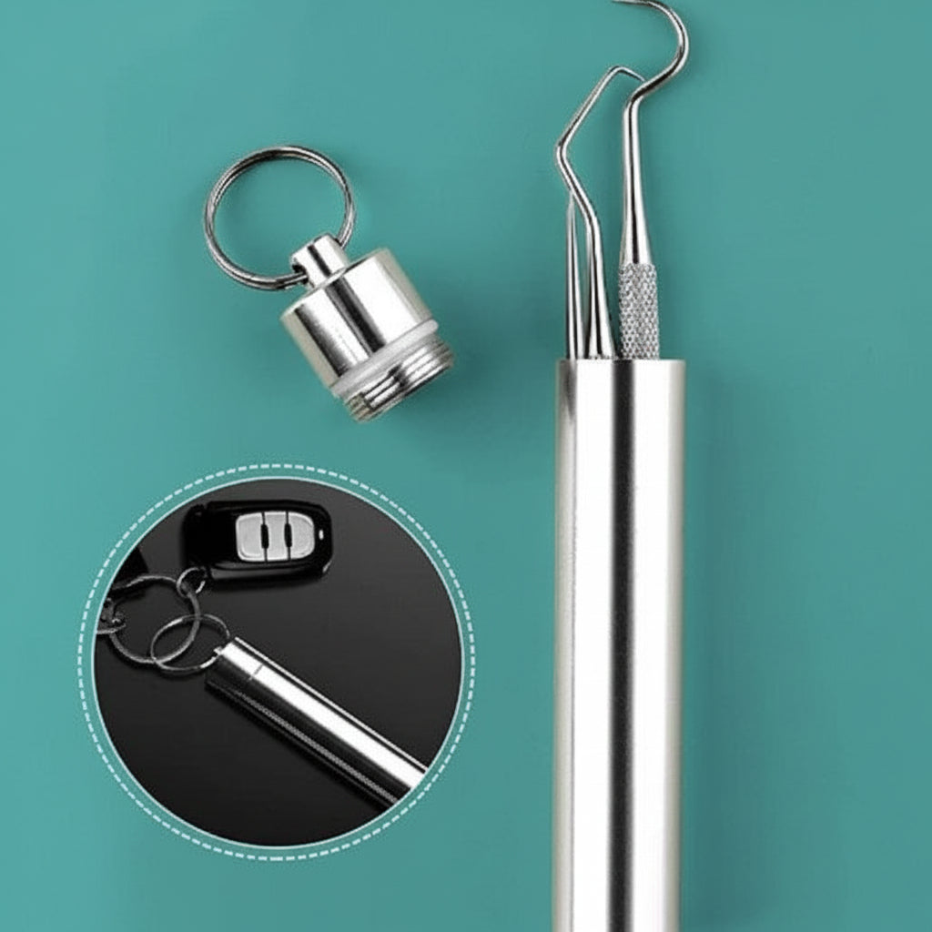 Portable Toothpick Set With Reusable Metal Toothpicks In Travel Case | Temsk