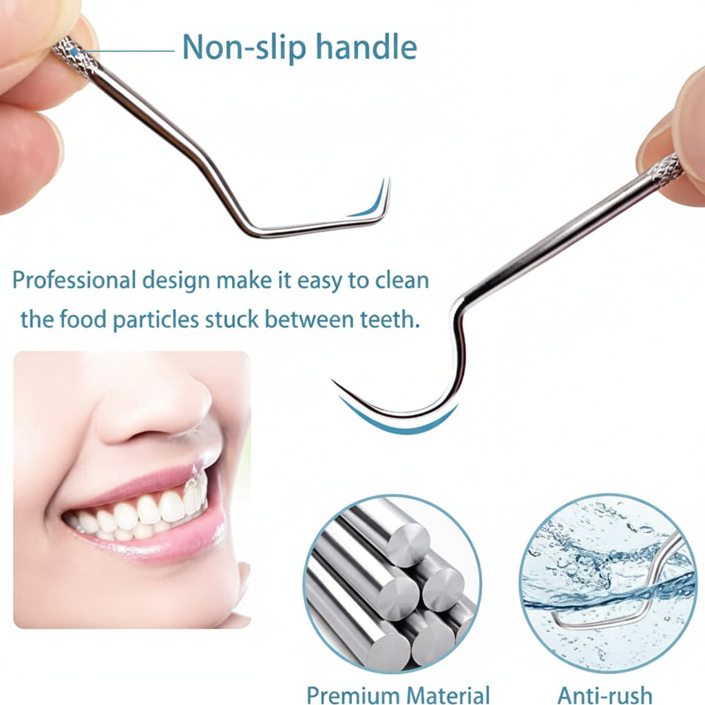Portable Toothpick Set With Reusable Metal Toothpicks In Travel Case | Temsk