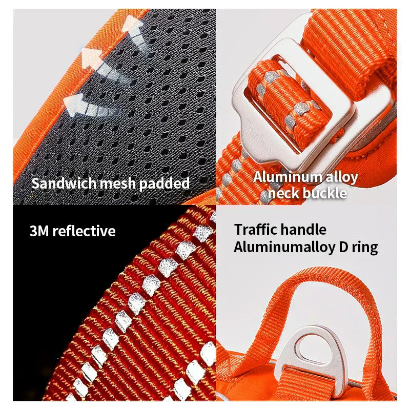 BrightPath No-Pull Harness With Reflective Nylon For Daily Walks | Temsk