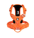 BrightPath No-Pull Harness With Reflective Nylon For Daily Walks | Temsk