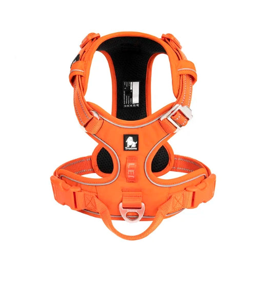 BrightPath No-Pull Harness With Reflective Nylon For Daily Walks | Temsk