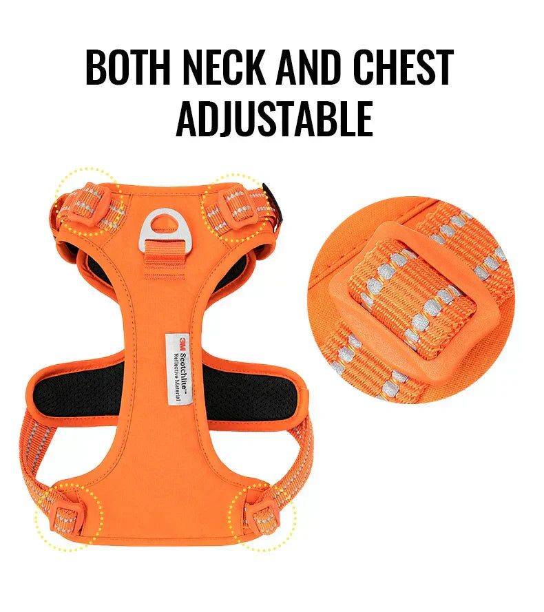 BrightPath No-Pull Harness With Reflective Nylon For Daily Walks | Temsk