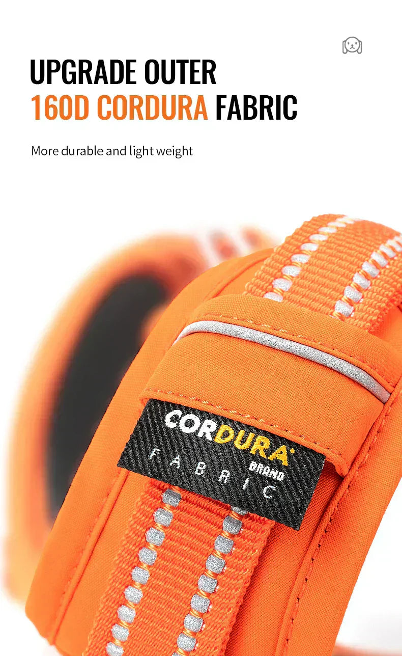 BrightPath No-Pull Harness With Reflective Nylon For Daily Walks | Temsk