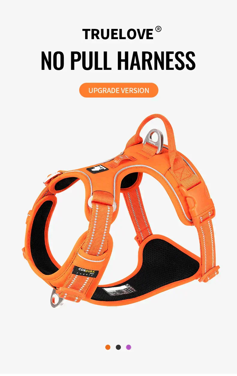 BrightPath No-Pull Harness With Reflective Nylon For Daily Walks | Temsk