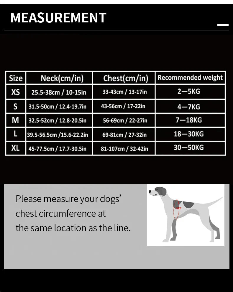 BrightPath No-Pull Harness With Reflective Nylon For Daily Walks | Temsk