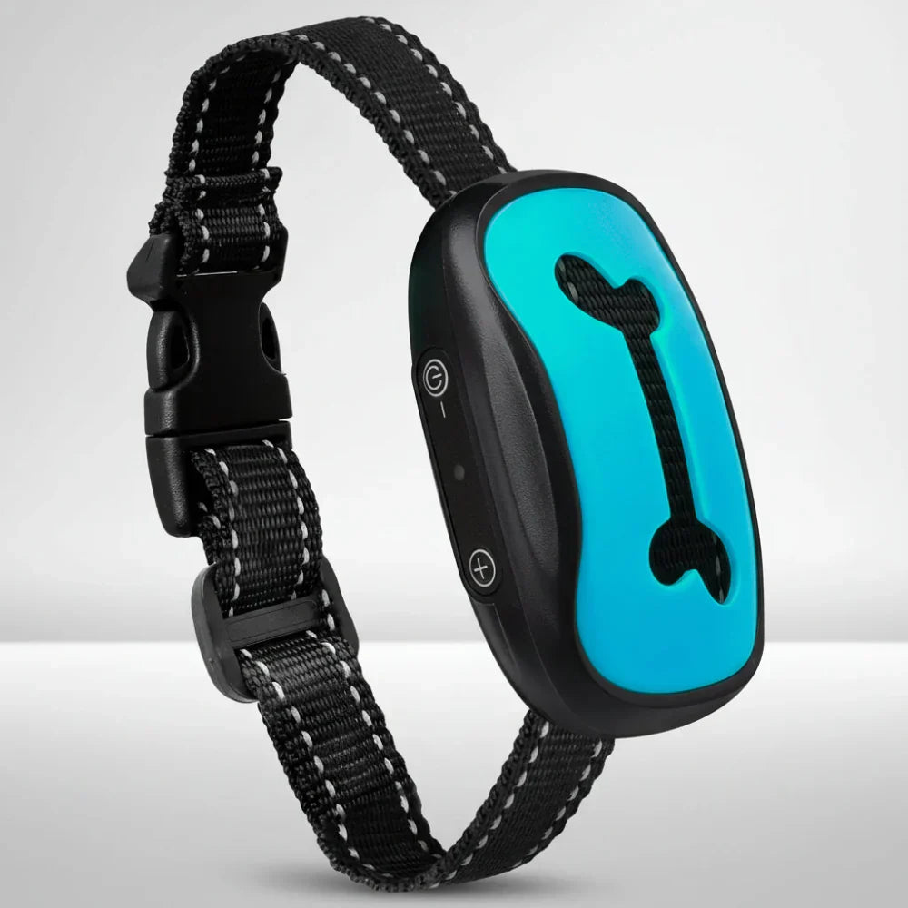 Rechargeable USB Dog Training Collar With Adjustable Fit | Temsk