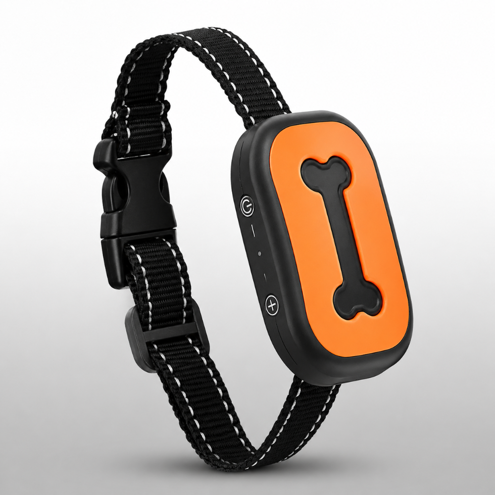 Rechargeable USB Dog Training Collar With Adjustable Fit | Temsk