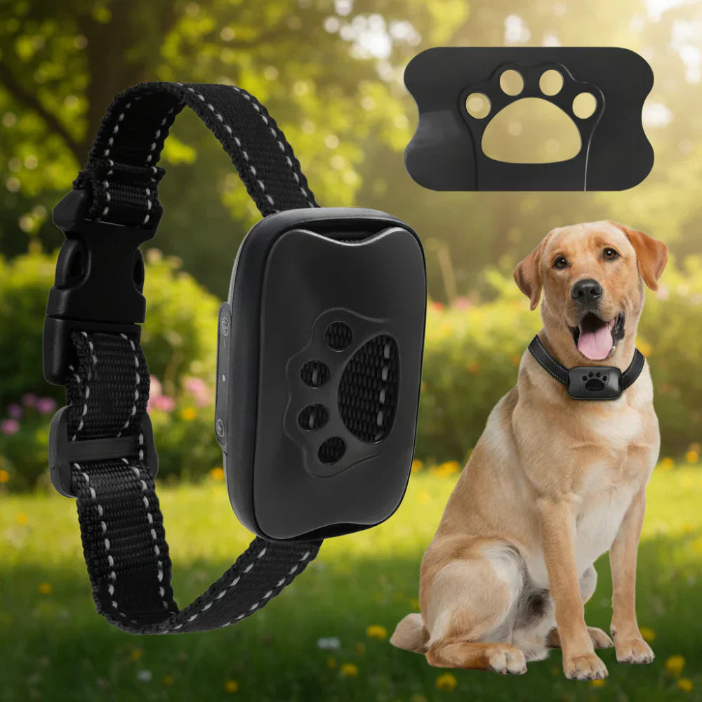 Rechargeable USB Dog Training Collar With Adjustable Fit | Temsk