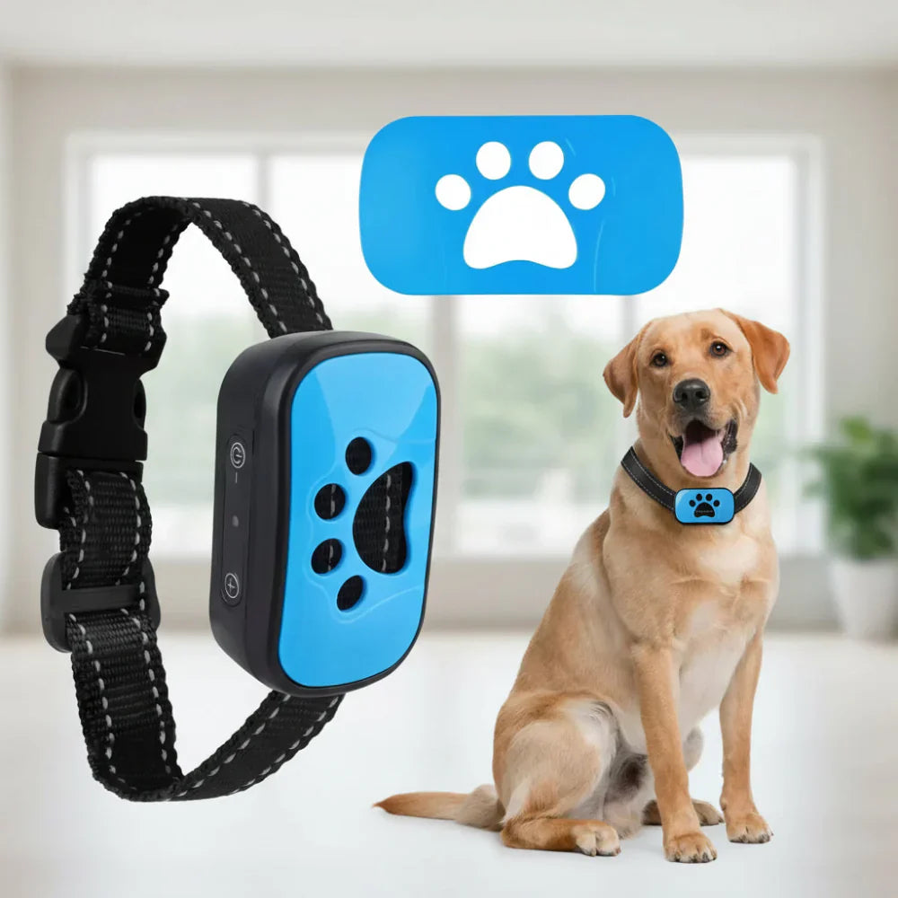 Rechargeable USB Dog Training Collar With Adjustable Fit | Temsk