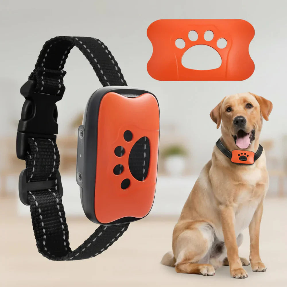 Rechargeable USB Dog Training Collar With Adjustable Fit | Temsk