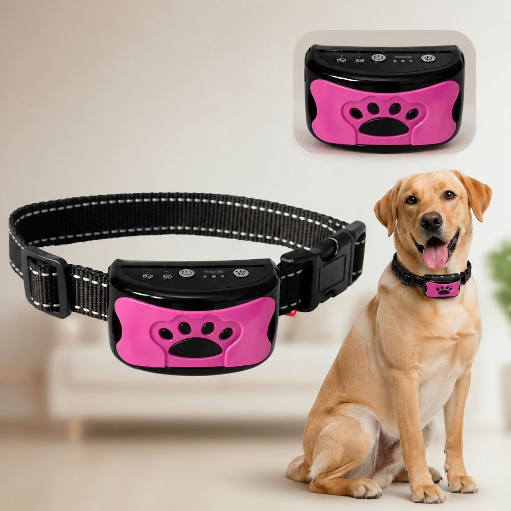 Rechargeable USB Dog Training Collar With Adjustable Fit | Temsk