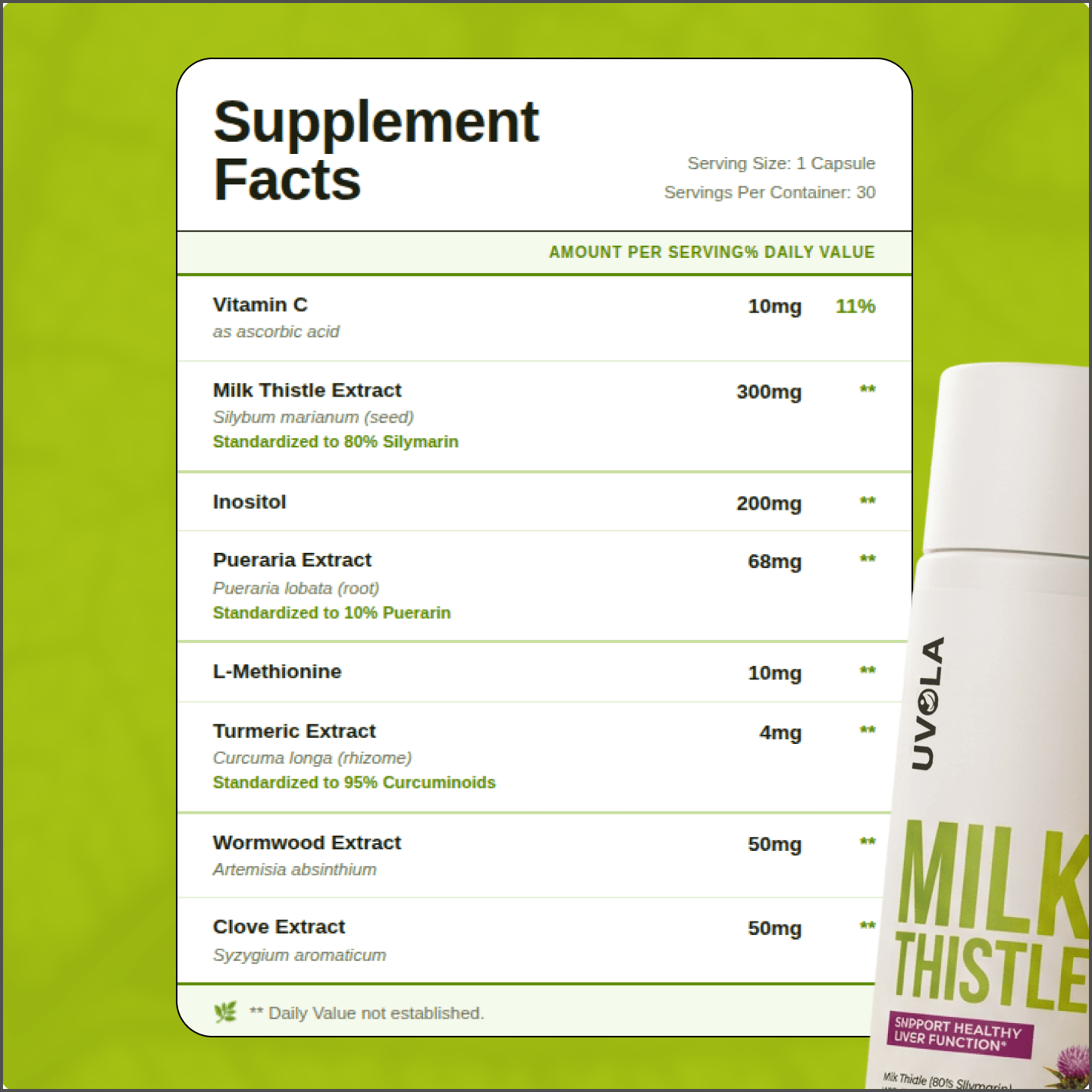 Milk Thistle Capsules for Liver Support, Digestion & Energy | Temsk
