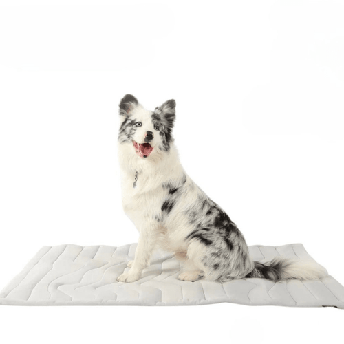 CoolPaws Self Cooling Dog Mat For Hot Summer Outdoors | Temsk