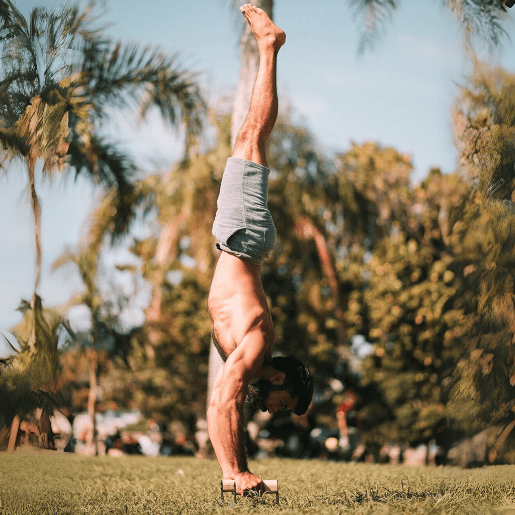 ZenGrip Ergonomic Wooden Parallettes For Push Ups With Steel Core | Temsk