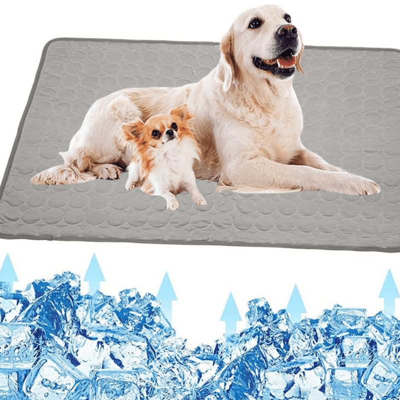 ChillPaws chladicí podložka pro psy pro okamžité osvěžení a pohodlí | Temsk