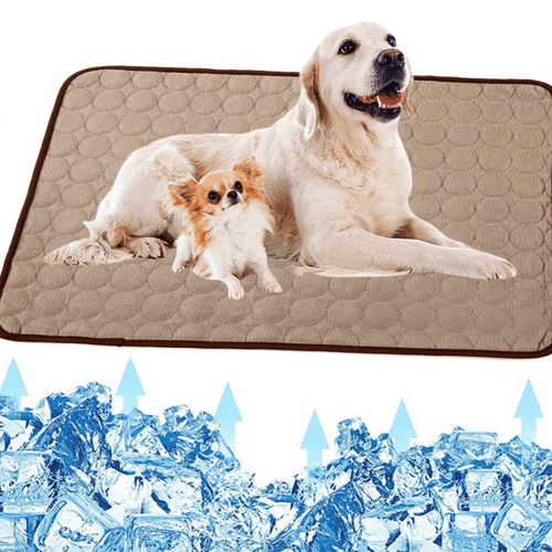 ChillPaws Cooling Mat For Dogs Delivers Instant Refreshment And Comfort Temsk