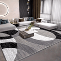 Orbit Weave geometrischer Teppich für moderne Wohnzimmer heute | Temsk