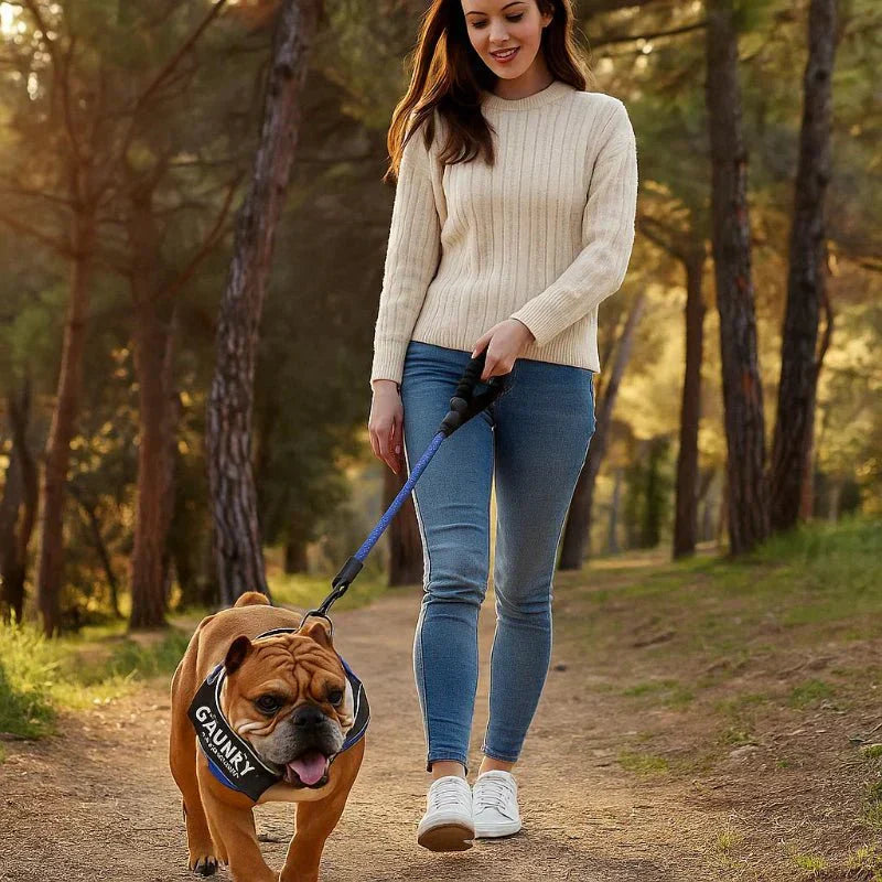 SafePaw Personalizable Dog Harness For Comfort And Safety | Temsk