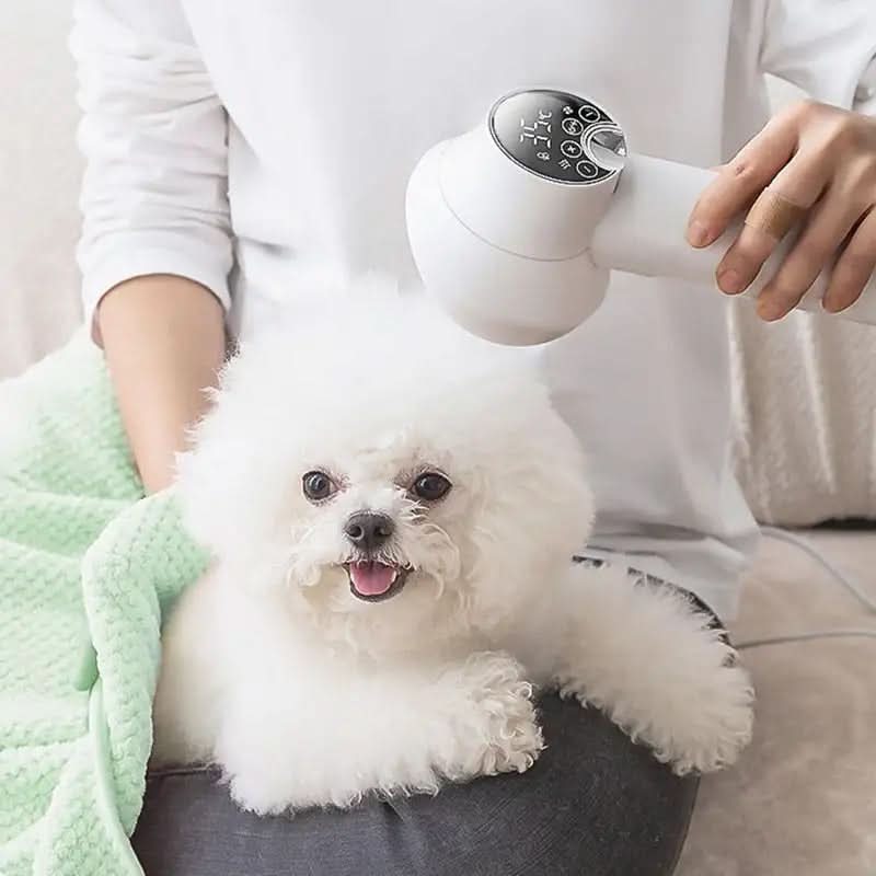 CalmGroom Quiet Hair Dryer With Ion Technology For Pets | Temsk