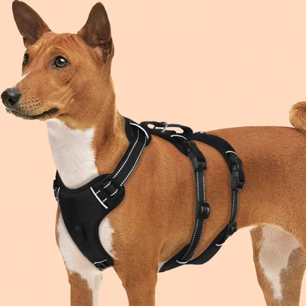 SwiftGuard Nylon Dog Harness With Reflective And Escape-Proof For Relaxed Walks | Temsk
