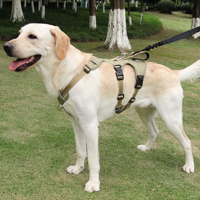 SwiftGuard Nylon Dog Harness With Reflective And Escape-Proof For Relaxed Walks | Temsk