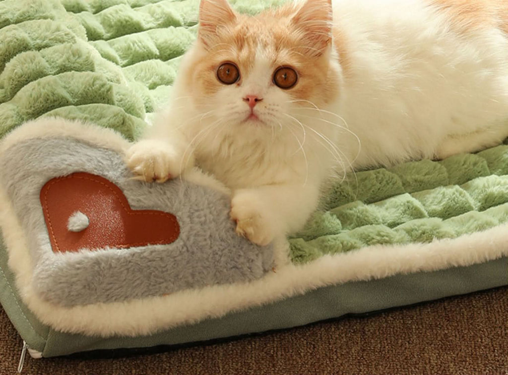 CozyCloud Soft Dog Bed For Small And Medium-Sized Dogs | Temsk