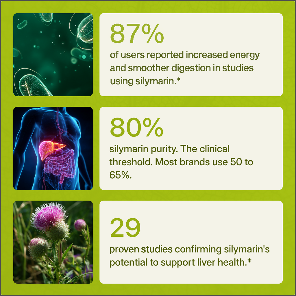 Milk Thistle Capsules for Liver Support, Digestion & Energy | Temsk