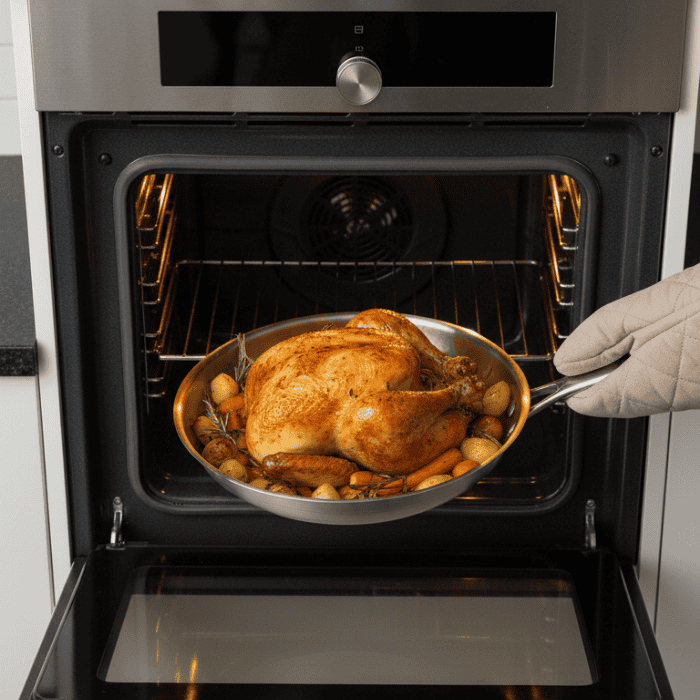 Aurora Premium Pan - Uncoated Pan For All Hob Types | Temsk
