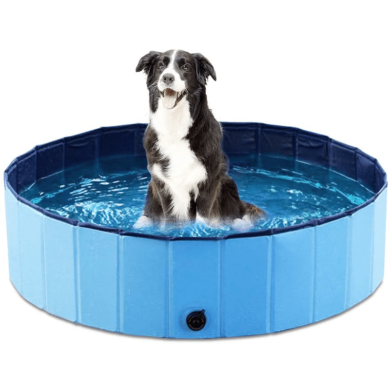 ChillPaws Foldable PVC Dog Pool for Hot Summer Days | Temsk