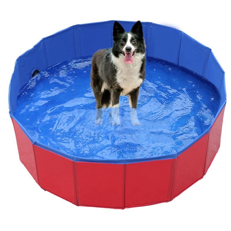 ChillPaws Foldable PVC Dog Pool for Hot Summer Days | Temsk