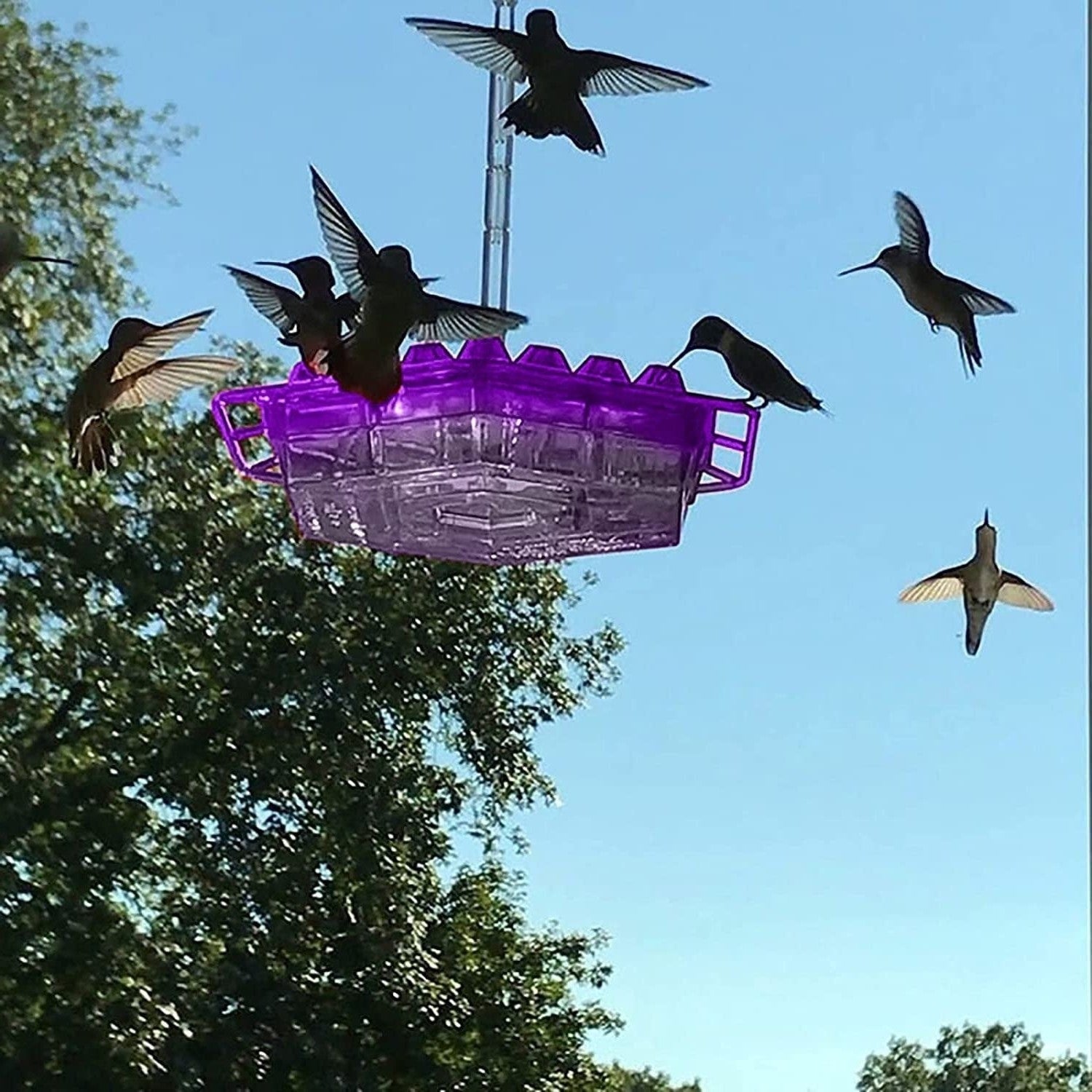 Kolibri-Futterspender zum Aufhängen im Freien, Vogelstange und Gartendekor | Temsk