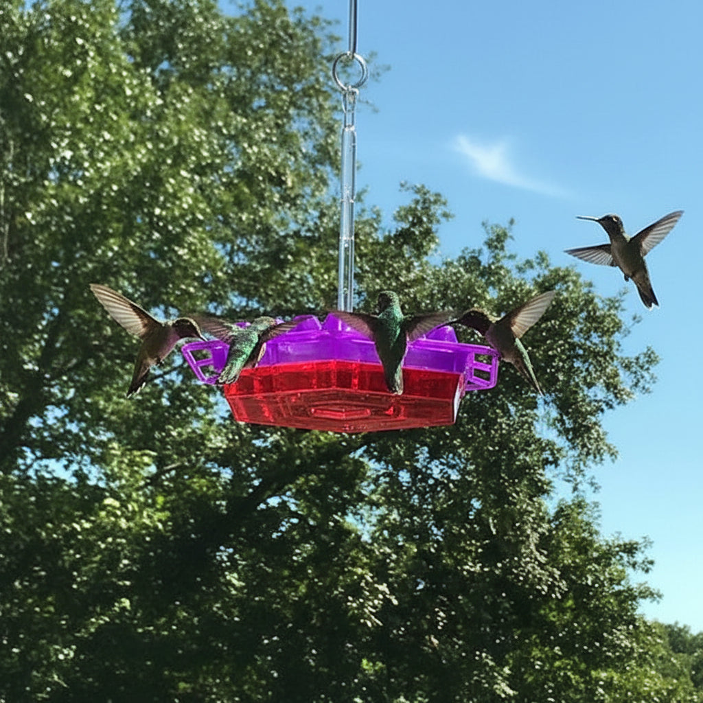 Kolibri-Futterspender zum Aufhängen im Freien, Vogelstange und Gartendekor | Temsk