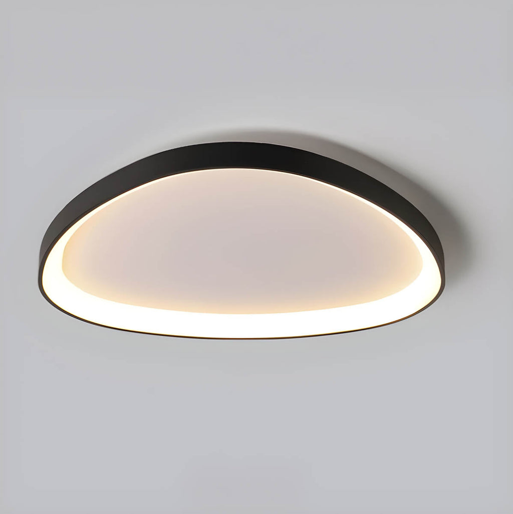 Dimmable LED Ceiling Light With Modern Organic Design For Living Rooms | Temsk