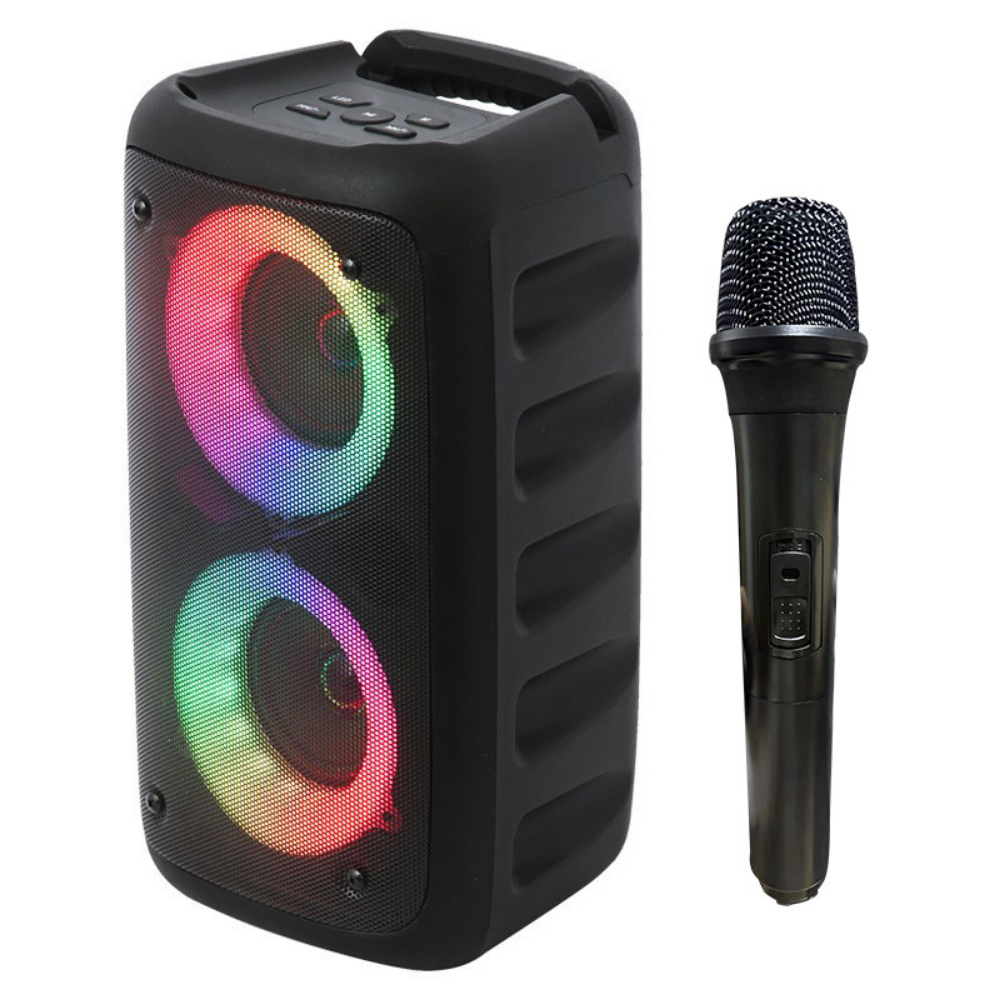 Karaoke System With Portable Speaker And Microphones | Temsk