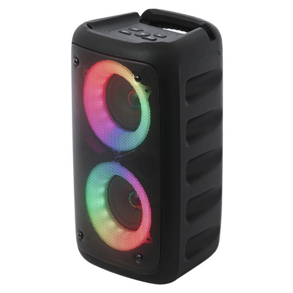 Karaoke System With Portable Speaker And Microphones | Temsk