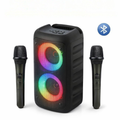 Karaoke System With Portable Speaker And Microphones | Temsk