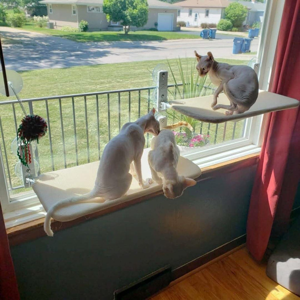 CozyNest Faltbare Katzen-Hängematte für Fenster und Wände | Temsk