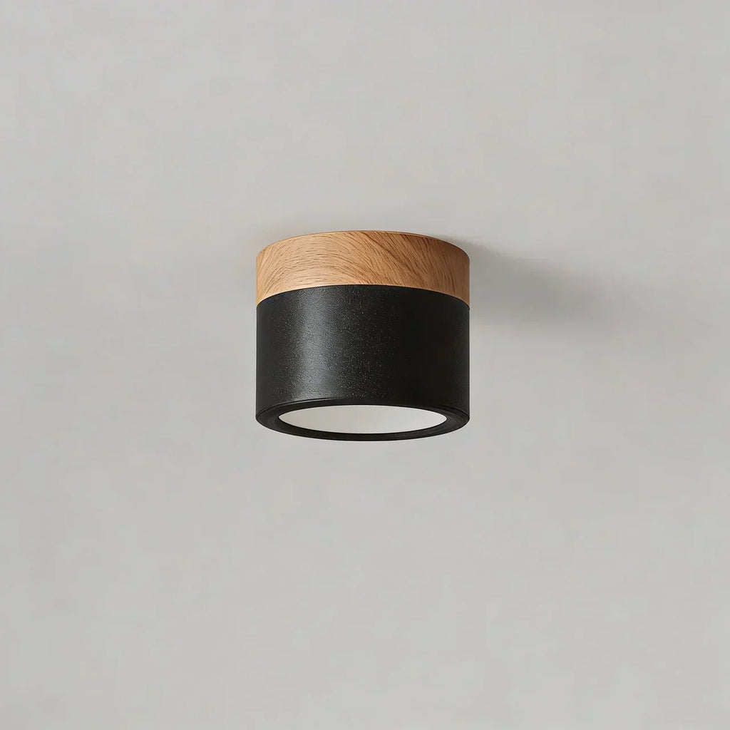 Flush Mount Ceiling Light With Integrated LED And Solid Colour Wood Accent | Temsk