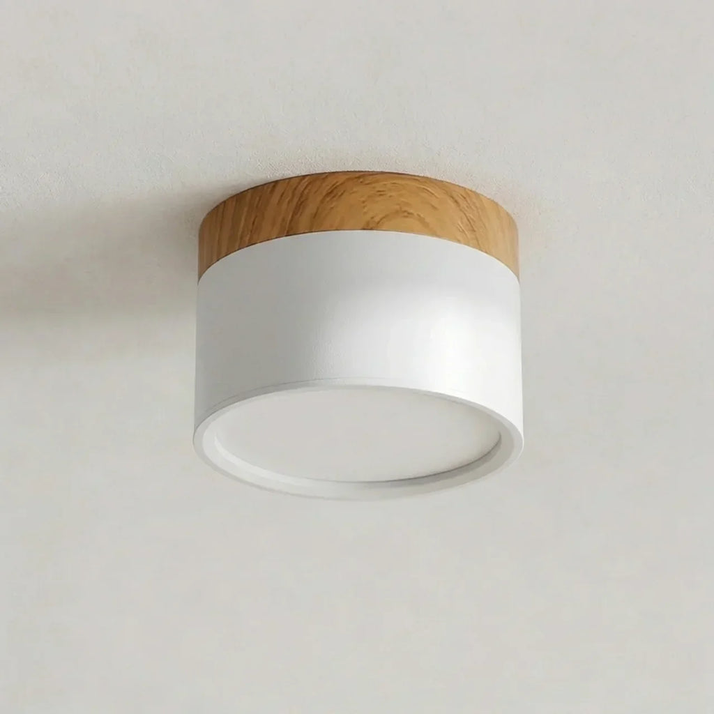 Flush Mount Ceiling Light With Integrated LED And Solid Colour Wood Accent | Temsk