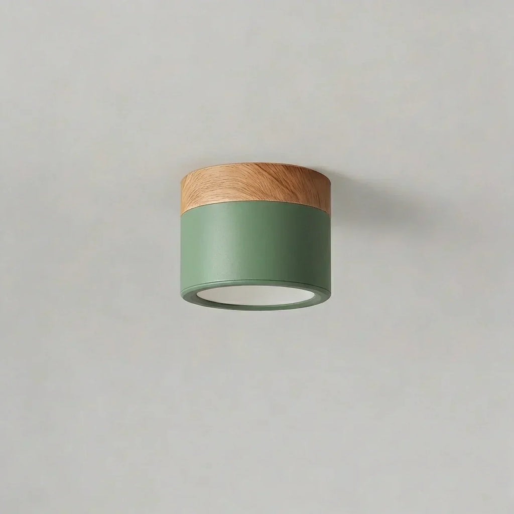 Flush Mount Ceiling Light With Integrated LED And Solid Colour Wood Accent | Temsk