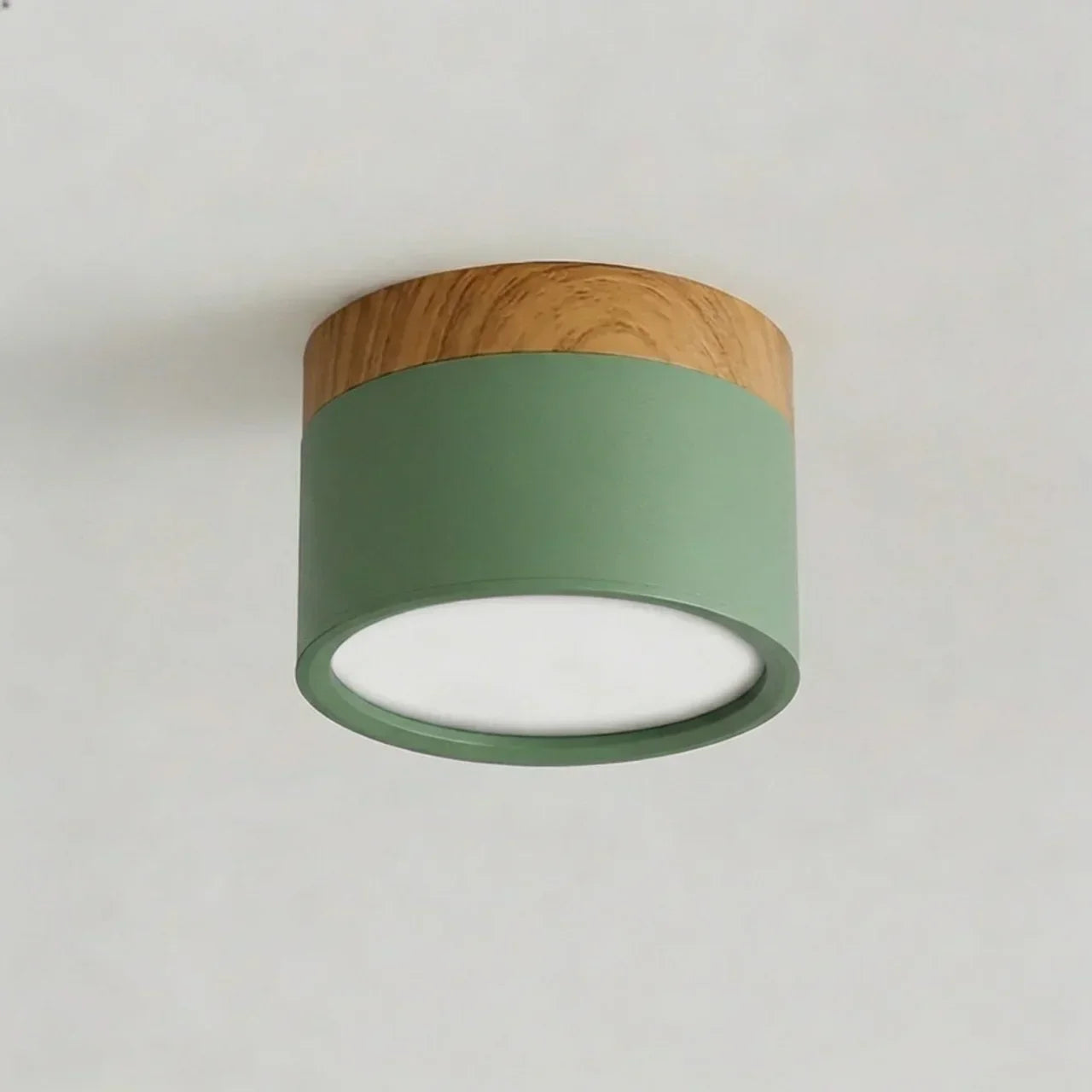 Flush Mount Ceiling Light With Integrated LED And Solid Colour Wood Accent | Temsk